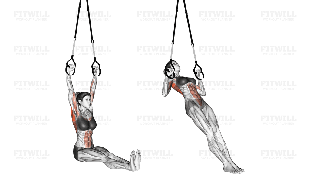 Suspension Pull-up (version 2)