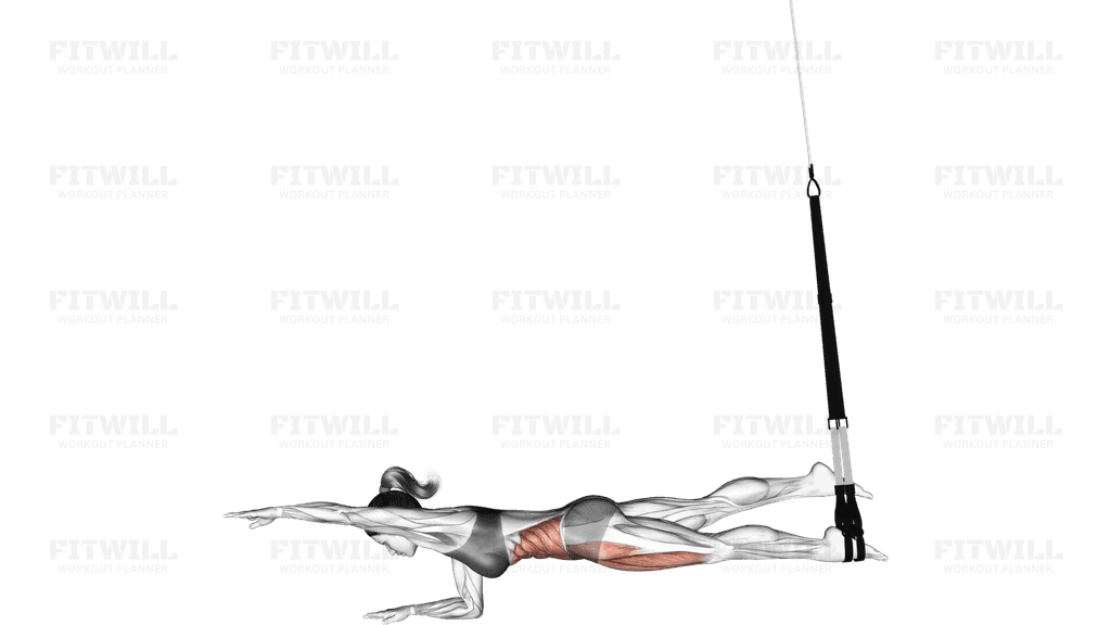 Suspension Single Leg Plank (straight arm)