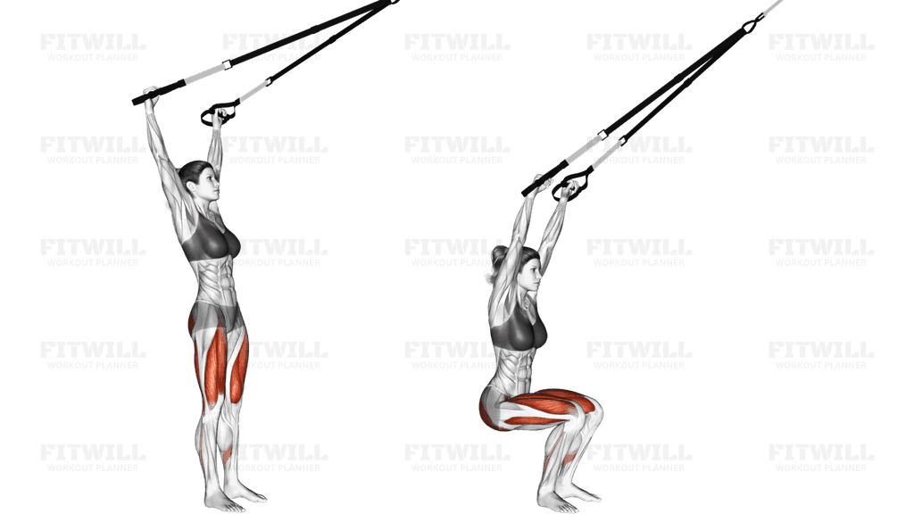 Suspension Squat (Arms Overhead)