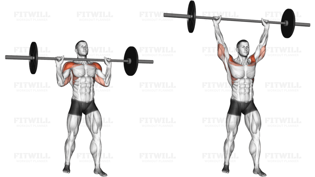 Barbell Standing Military Press (without rack)