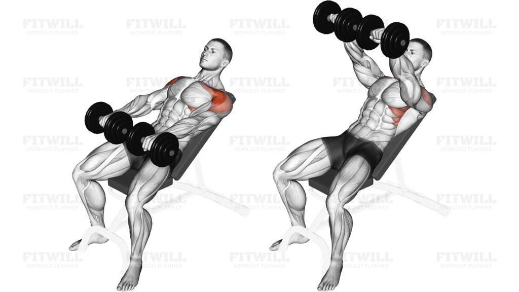 Dumbbell Incline Front Raise