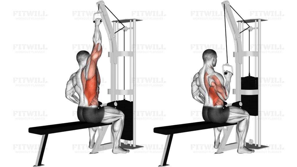 Cable One Arm Lat Pulldown (R)