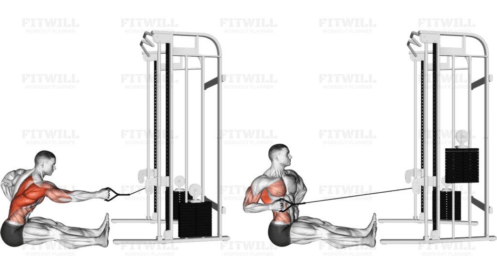 Cable one arm twisting seated row