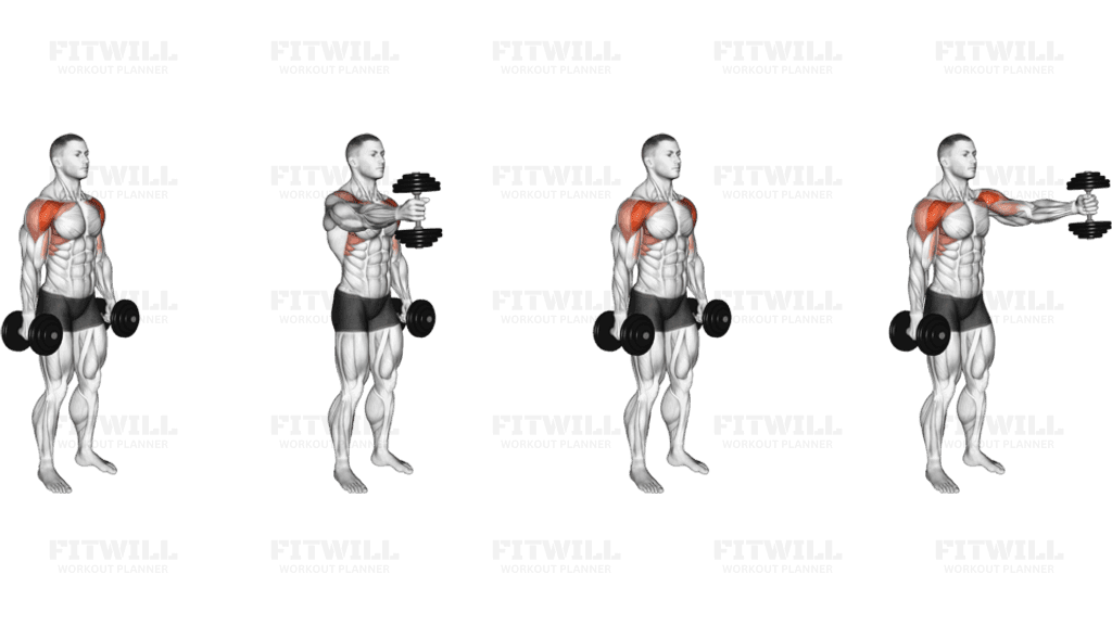 Dumbbell Standing Alternate Vertical Front Raises