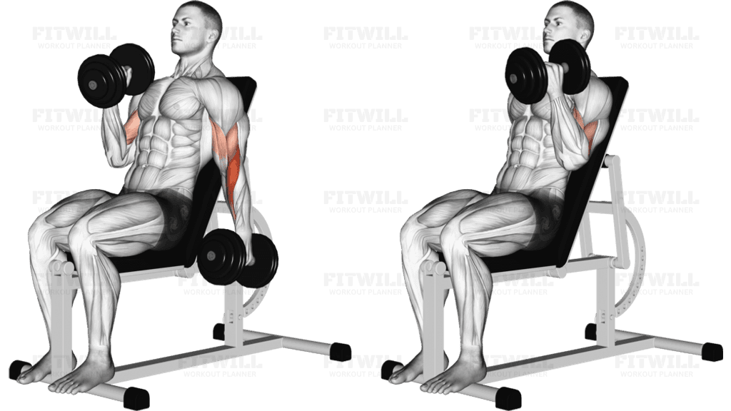 Dumbbell Incline Alternate Hammer Curl