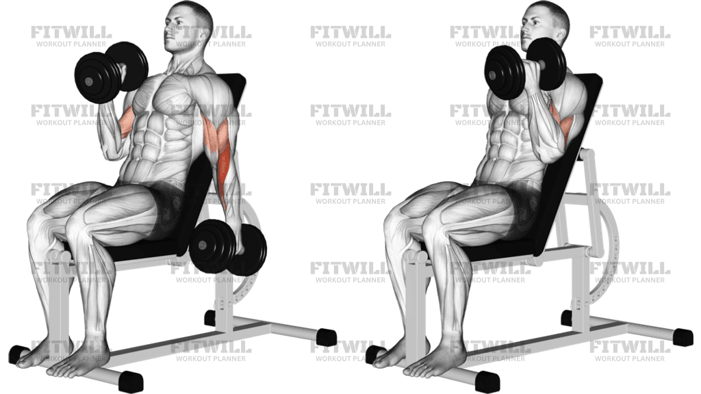 Dumbbell Incline Alternate Hammer Curl