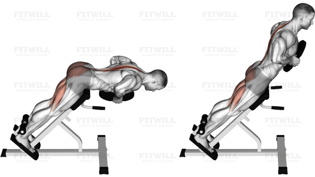 Plate Hyperextension