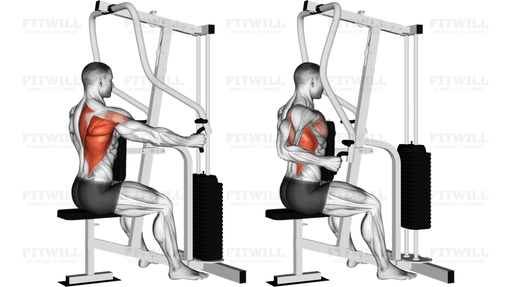 Lever One Arm Seated Row (Seated row machine)