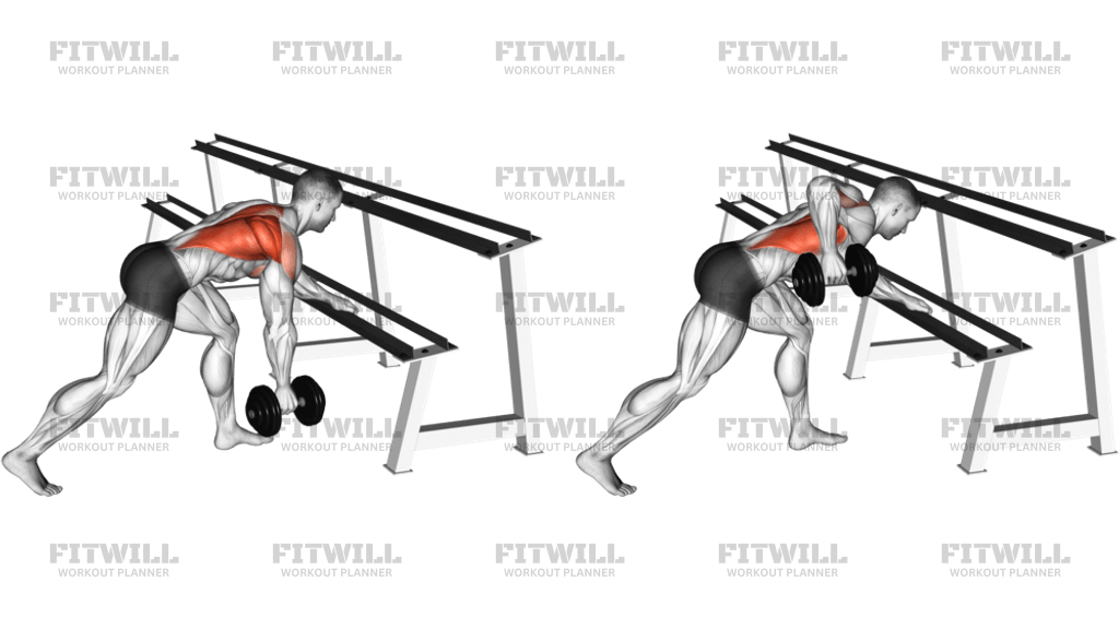 Dumbbell One Arm Row (rack Support)