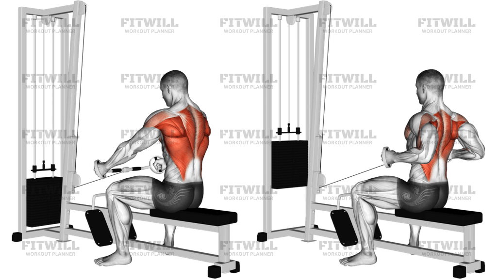 Cable Seated Row (Bent Bar)