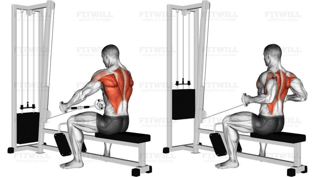 Cable Seated Row (Bent bar)