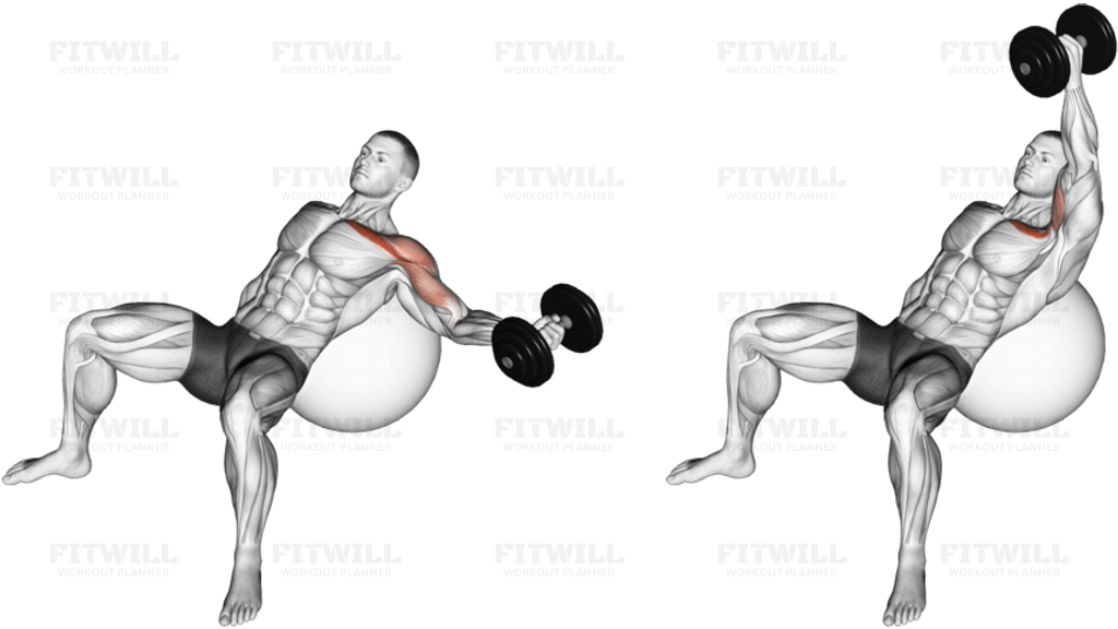 Dumbbell Incline One Arm Fly on Exercise Ball