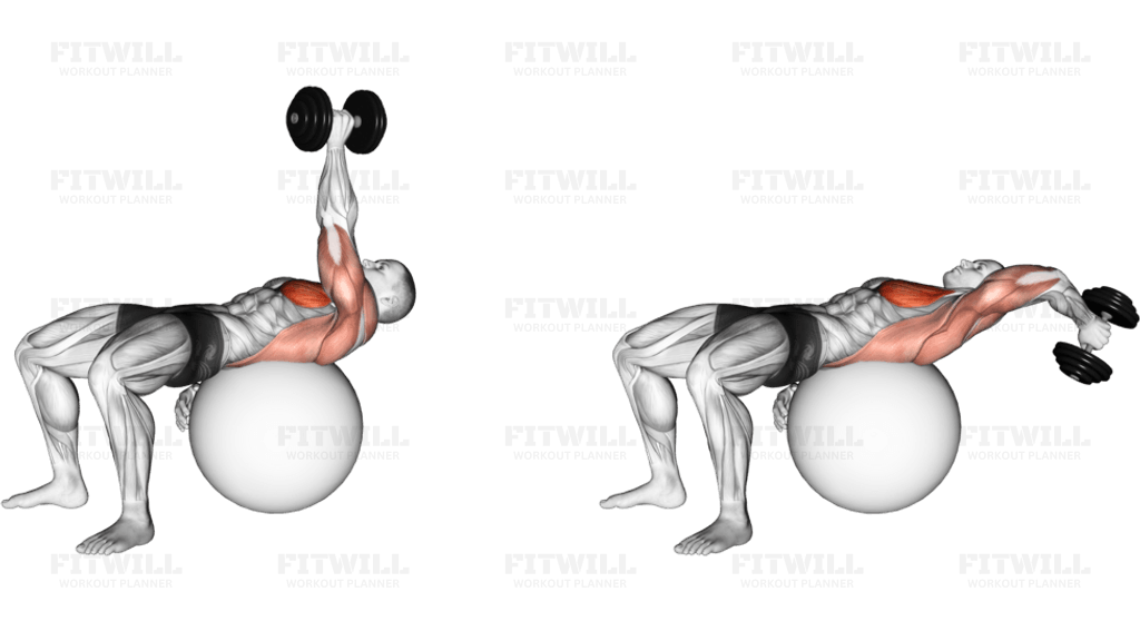 Dumbbell One Arm Pullover on Exercise Ball