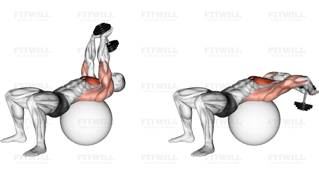 Dumbbell Pullover on Exercise Ball