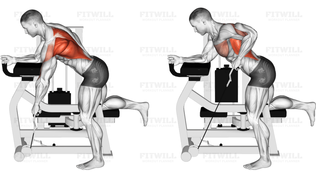 Lever Unilateral Row