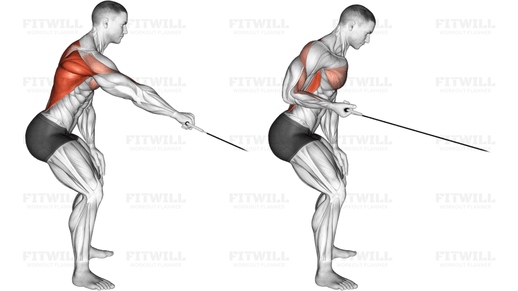 Cable Palm Rotational Row