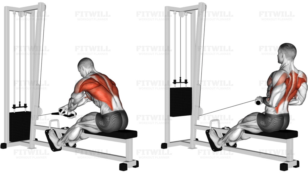 Cable Rope Crossover Seated Row