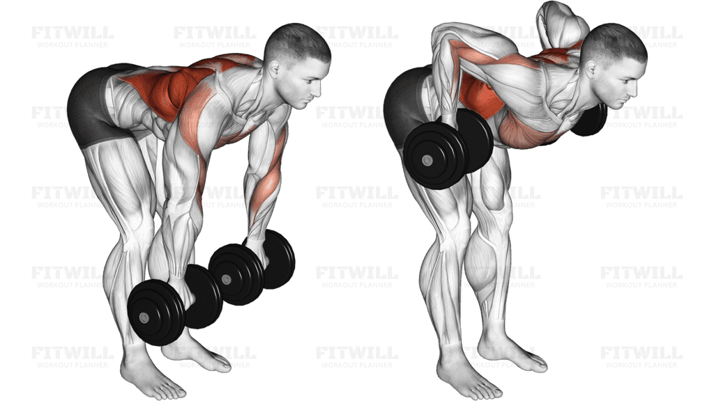 Dumbbell Palm Rotational Bent Over Row