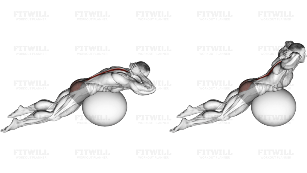 Exercise Ball Back Extension With Hands Behind Head