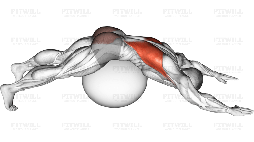 Exercise Ball Lower Back Prone Stretch