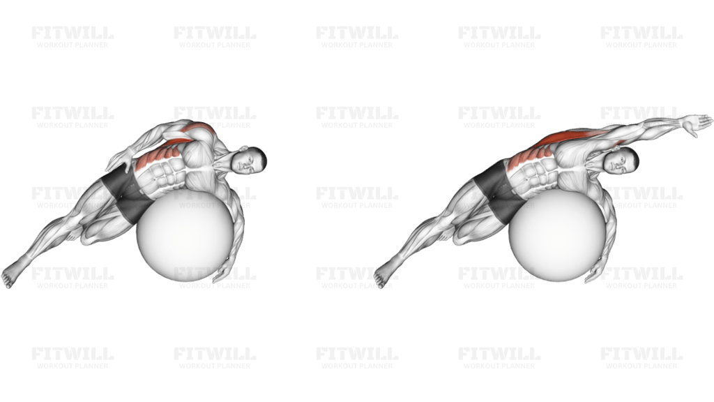 Exercise Ball Lying Side Lat Stretch