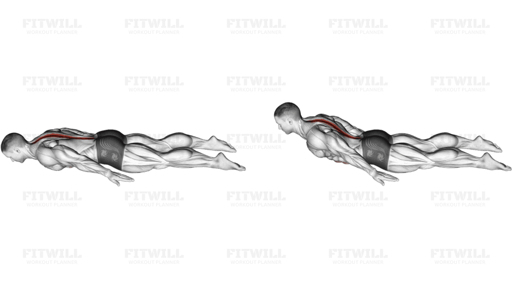 Bodyweight Lying Lower Back Curl