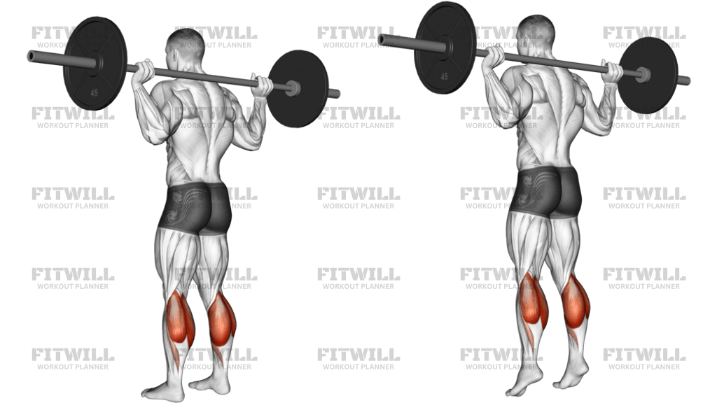 Barbell Floor Calf Raise