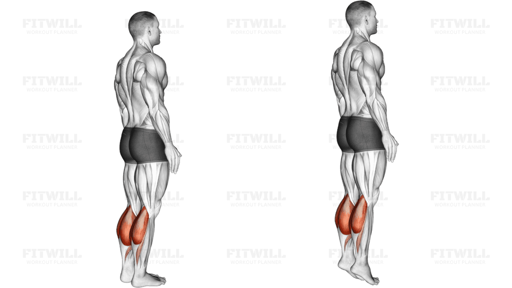 Standing Calf Raise