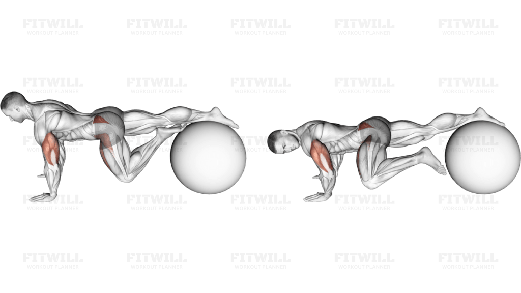 Exercise Ball One Leg Prone Lower Body Rotation