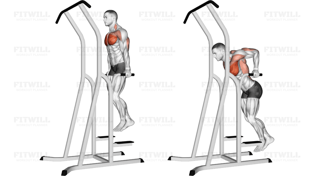 Chest Dip (on dip-pull-up cage)