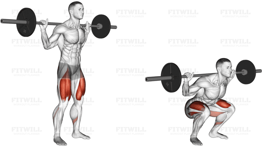 Barbell Low Bar Squat