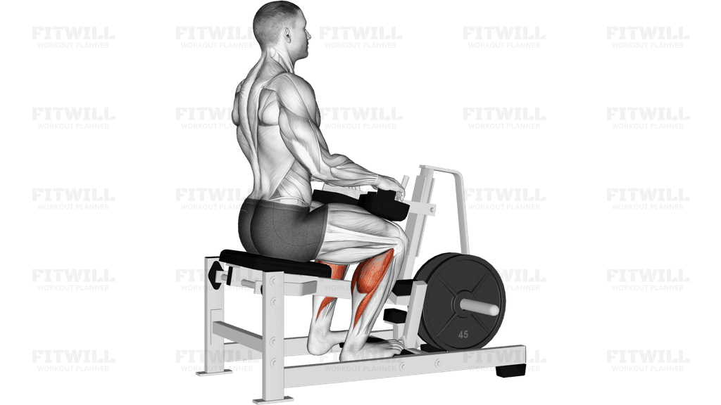 Lever Calf Stretch (plate loaded) Isometric