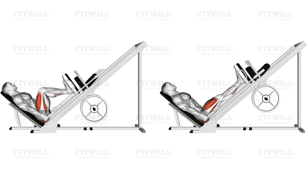 Sled 45° Leg Press (Side POV)