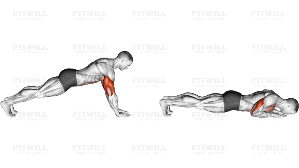 Push-up on Forearm