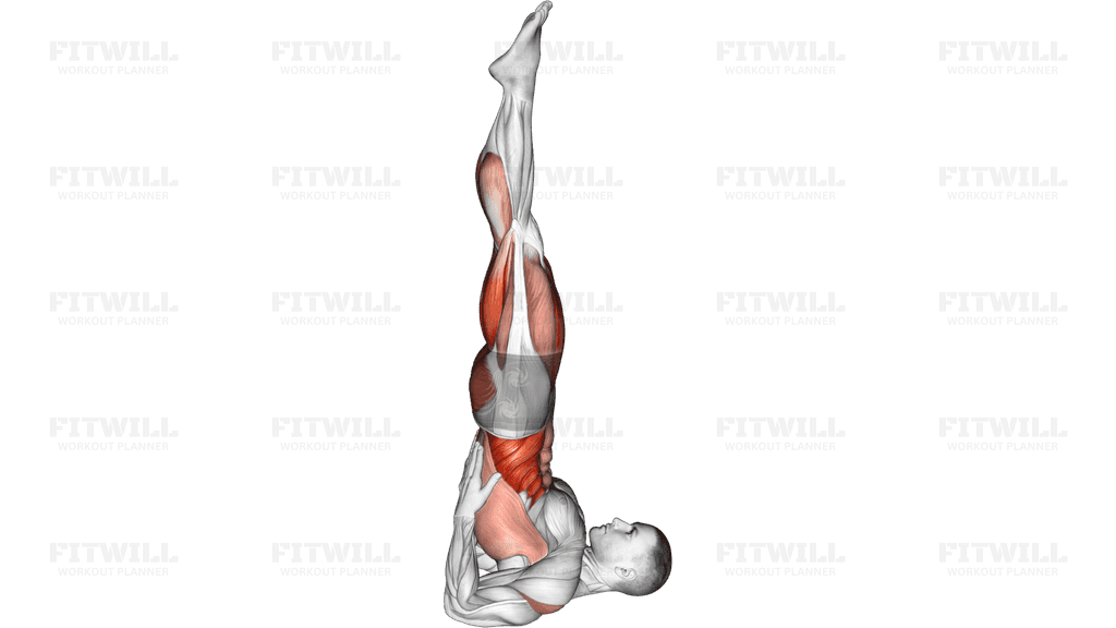 Shoulder Stand Yoga Pose