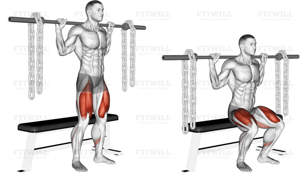 Barbell Bench Squat (With chains)