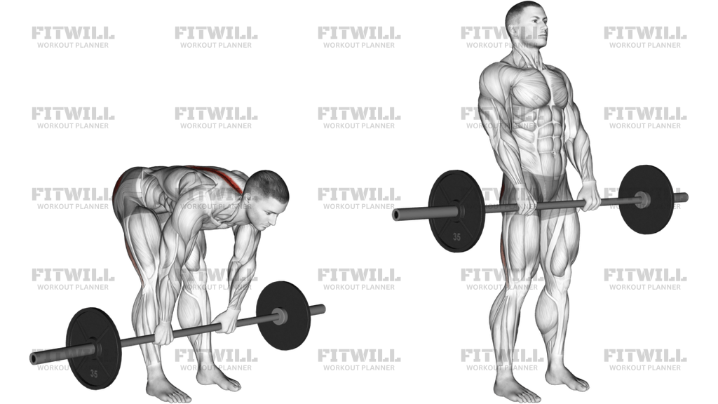 Barbell Stiff Legged Deadlift