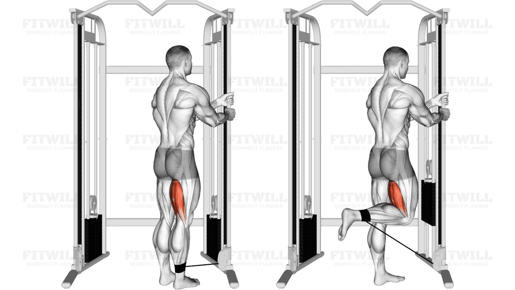 Cable Standing Leg Curl