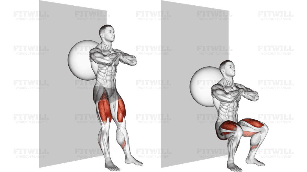 Exercise Ball Wall Squat