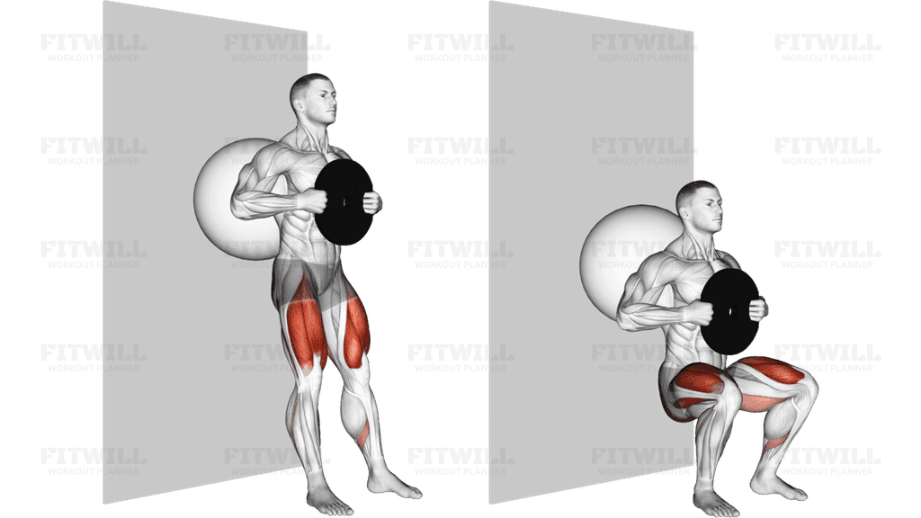 Weighted Exercise Ball Wall Squat