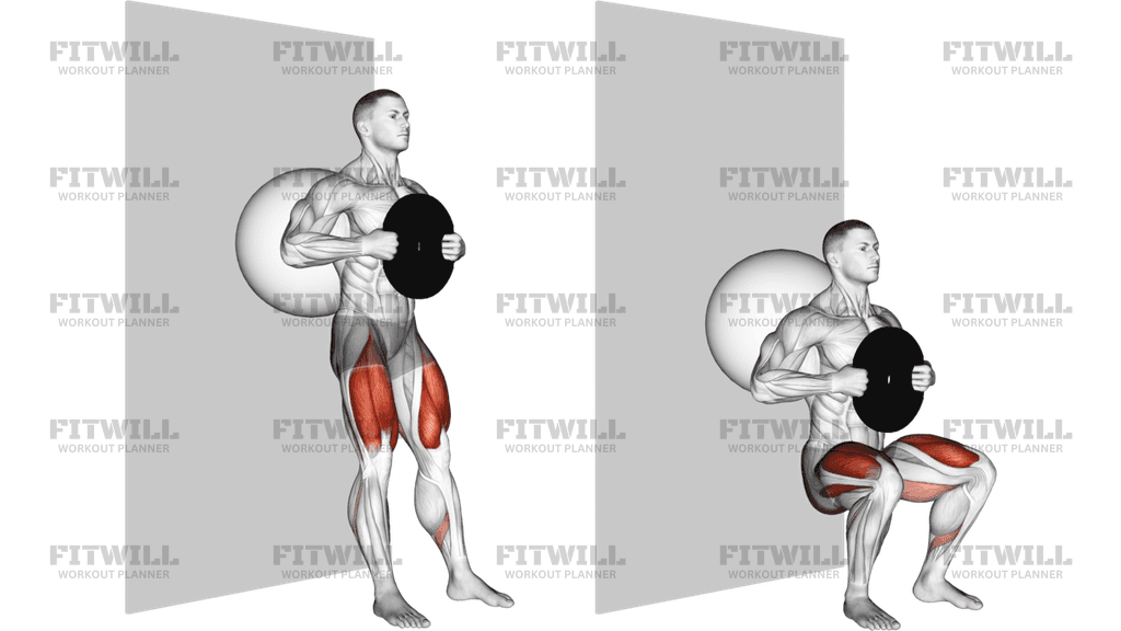 Weighted Exercise Ball Wall Squat