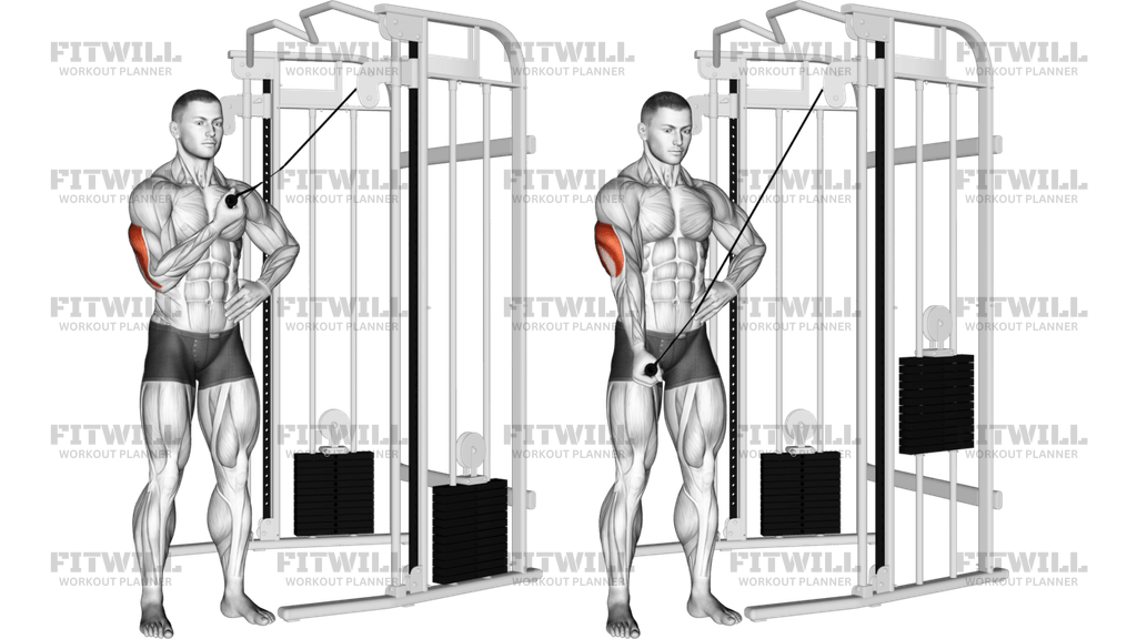 Cable One Arm Side Triceps Pushdown