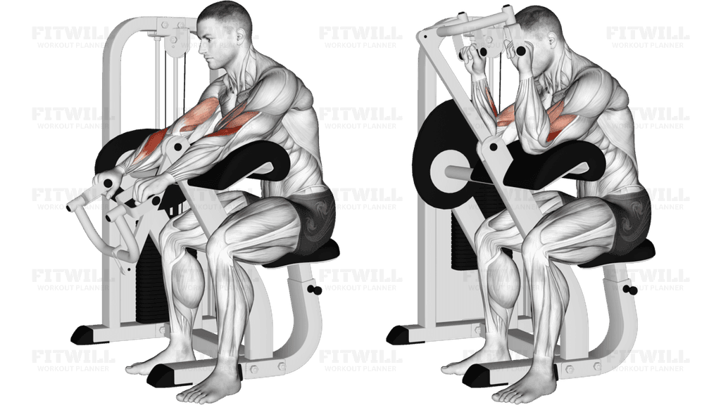 Lever Reverse Grip Preacher Curl