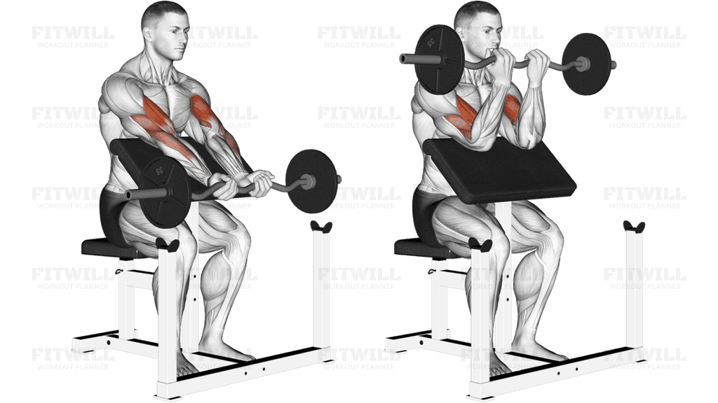 EZ Barbell Close Grip Preacher Curl