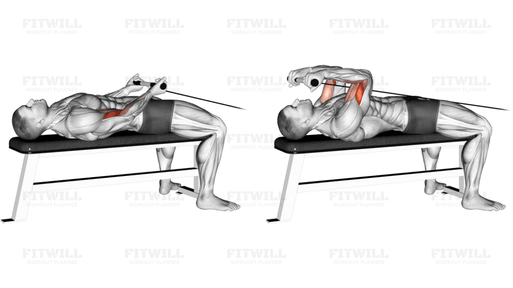 Cable Lying Bicep Curl