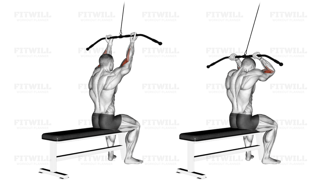 Cable Pulldown Bicep Curl