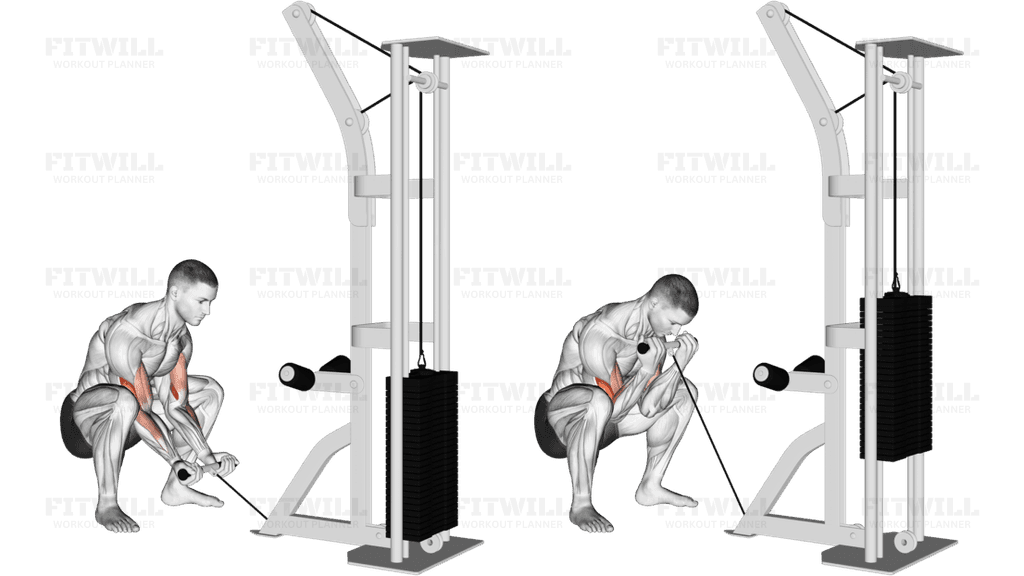 Cable Squatting Curl