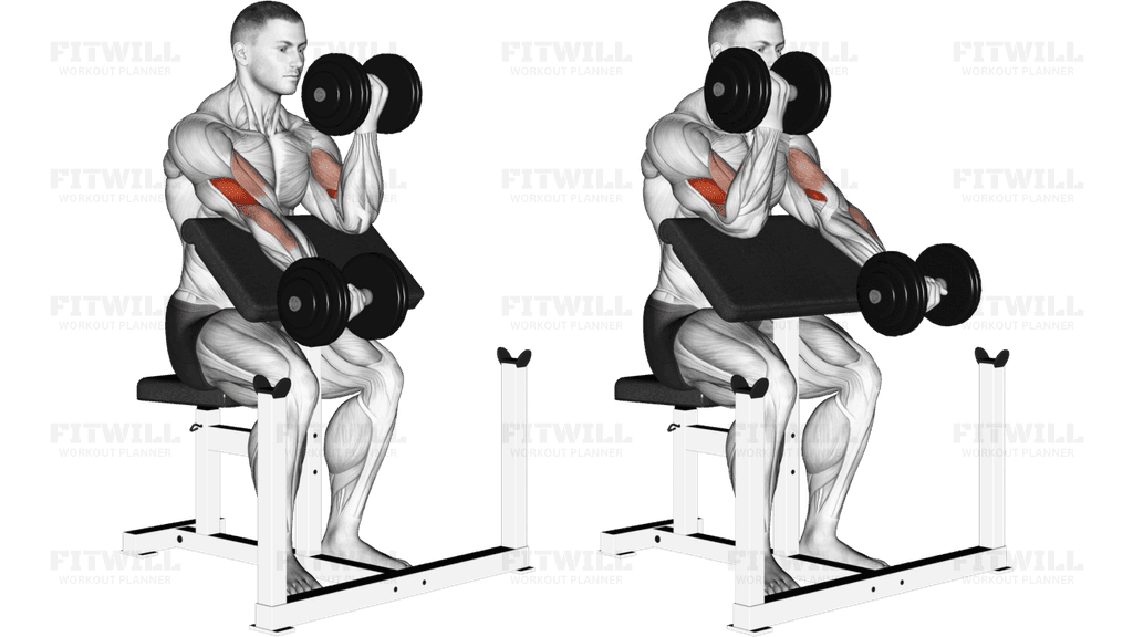 Dumbbell Alternate Preacher Curl