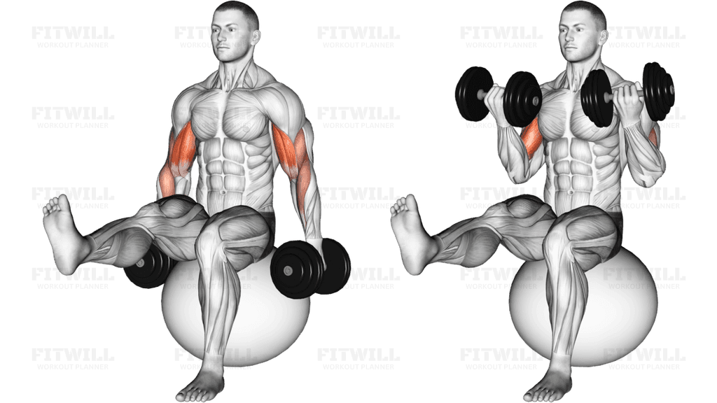 Dumbbell Bicep Curl on Exercise Ball with Leg Raised