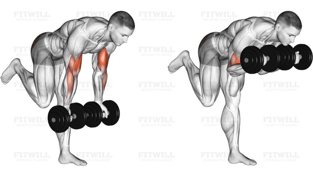 Dumbbell Bicep Curl With Stork Stance